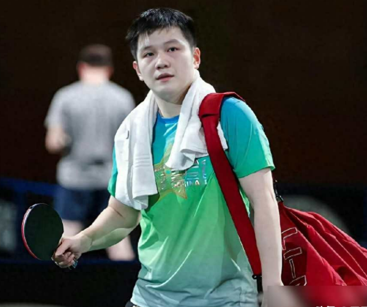 IM体育-比利时乒乓球队险胜德国乒乓球队，樊振东送出助攻的简单介绍