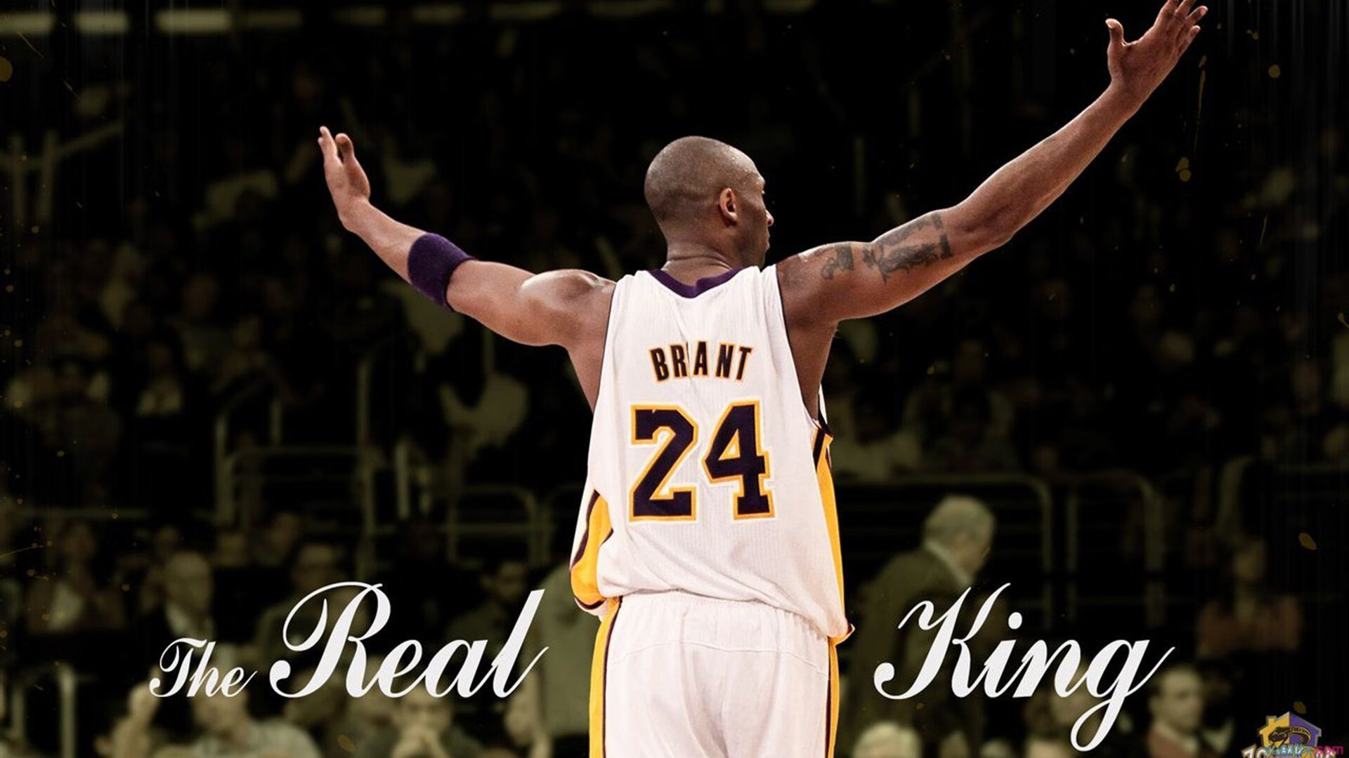 IM体育赛事直播入口-冰原狼群围猎风城,森林狼战术压制公牛的启示